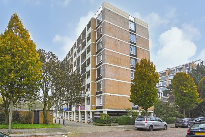 View photo of Louis Davidsstraat 293