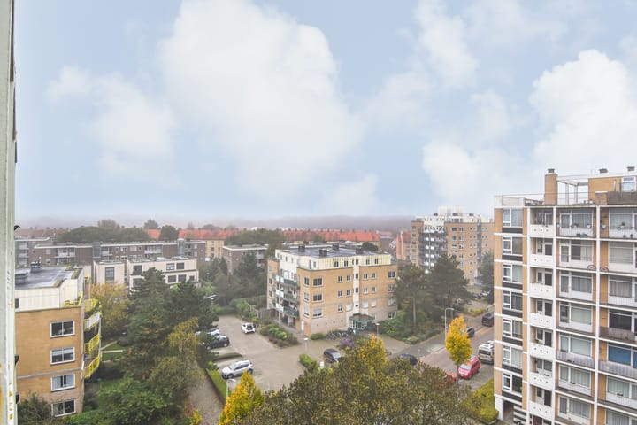 Foto 33 van Louis Davidsstraat 293