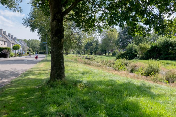 Bekijk foto 42 van Tarwehullen 40