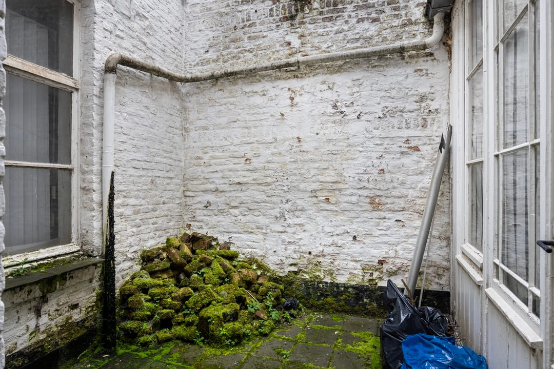 Foto 2 van Boschstraat 92