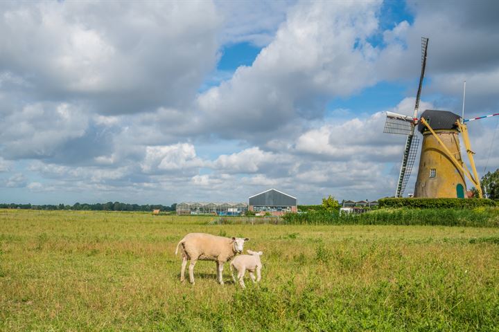 Bekijk foto 57 van Rijksstraatweg 23