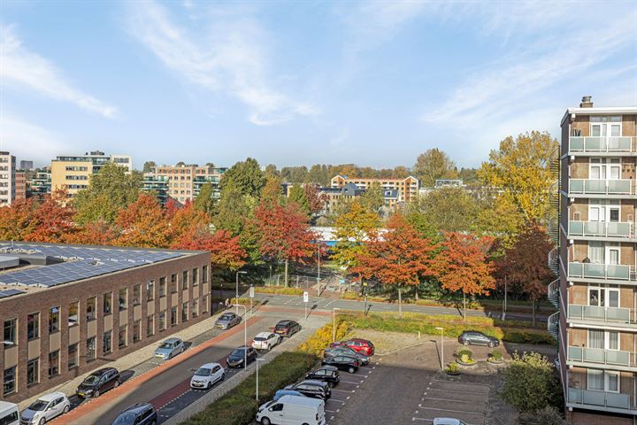 Bekijk foto 30 van Alkenoord 248