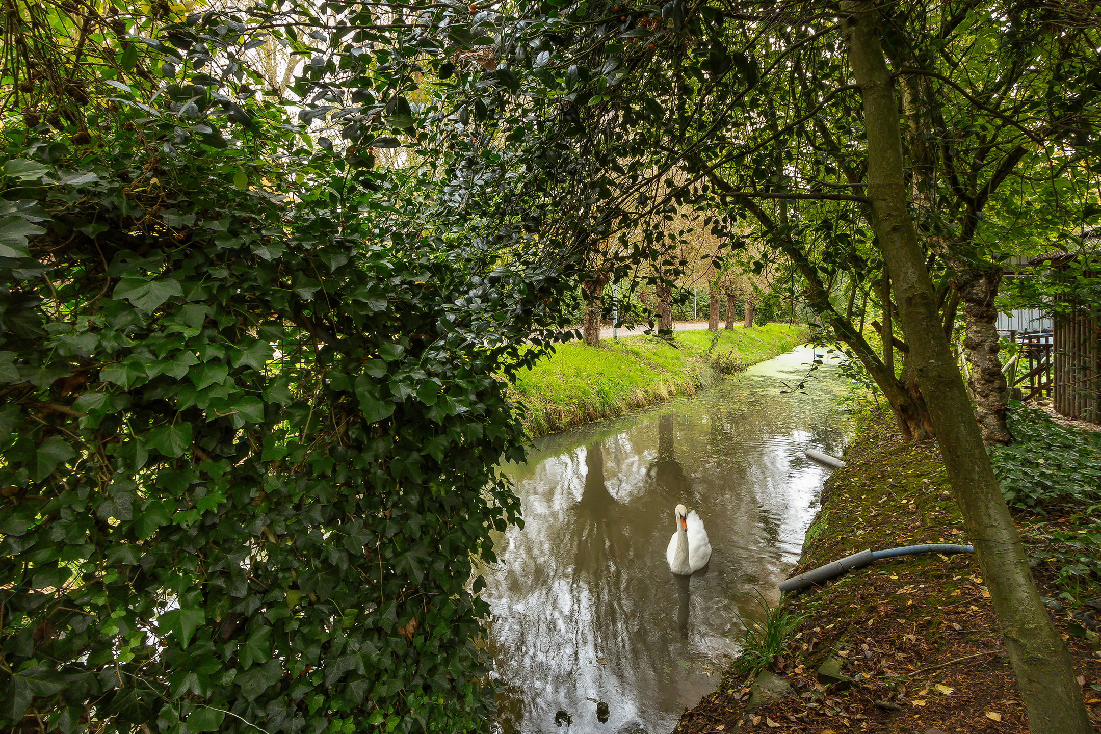 Foto 36 van Oudendijk 76