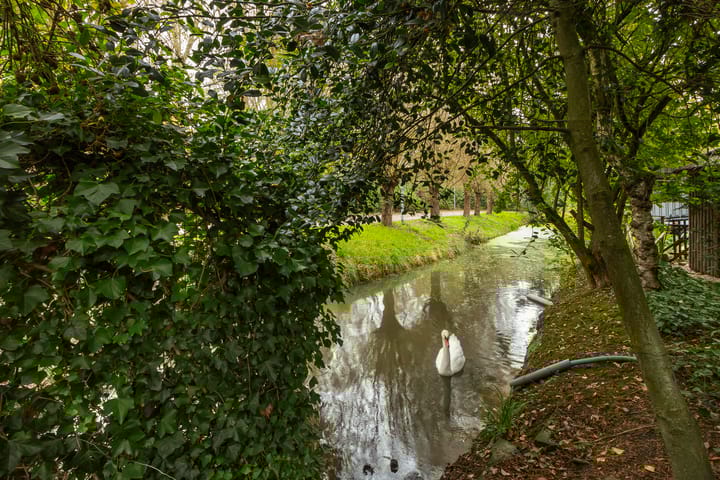 Foto 36 van Oudendijk 76