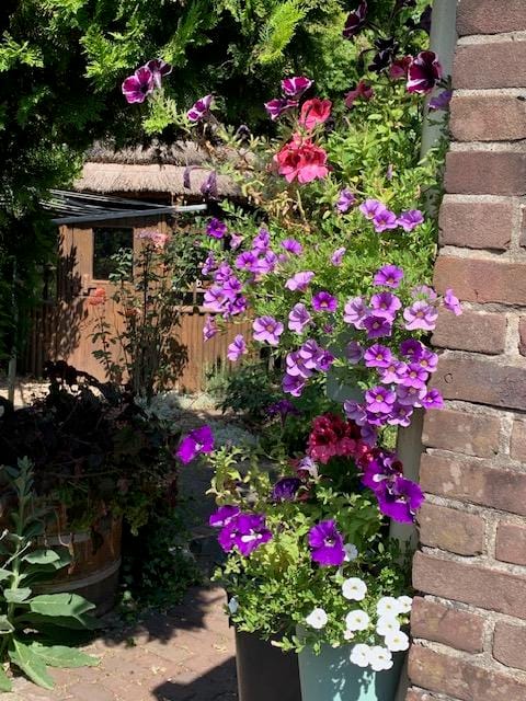 Foto 60 van Oudendijk 76