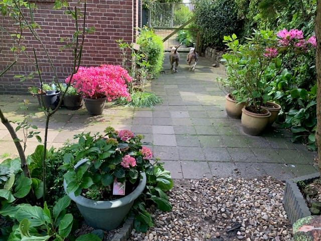 Foto 61 van Oudendijk 76