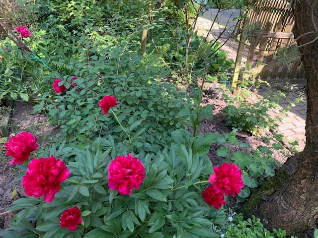 Foto 63 van Oudendijk 76