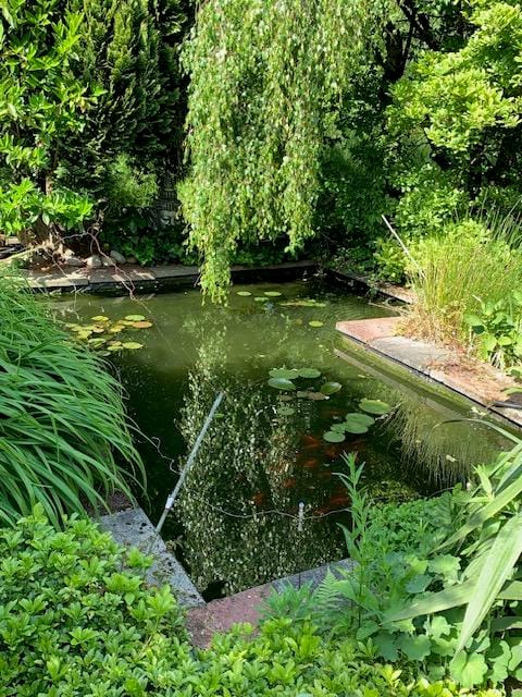 Foto 66 van Oudendijk 76