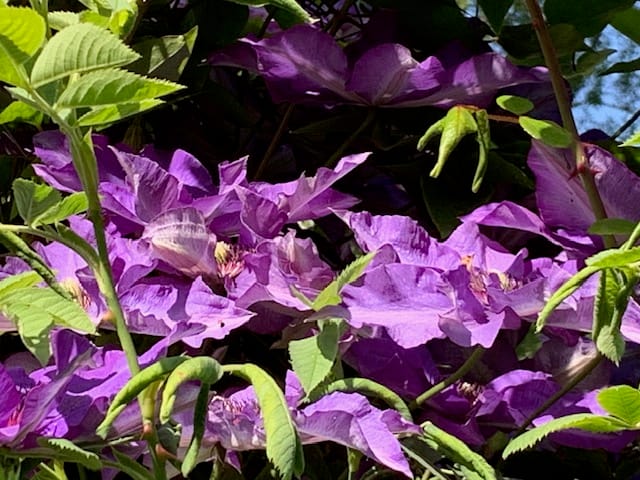 Foto 70 van Oudendijk 76