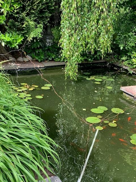 Foto 71 van Oudendijk 76