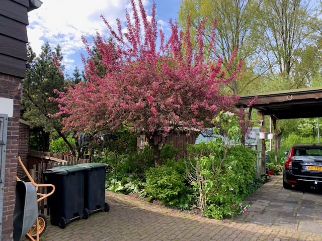 Foto 54 van Oudendijk 76