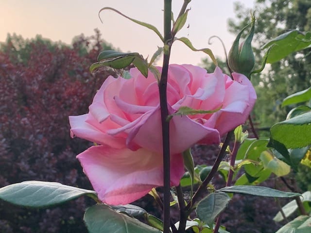 Foto 74 van Oudendijk 76