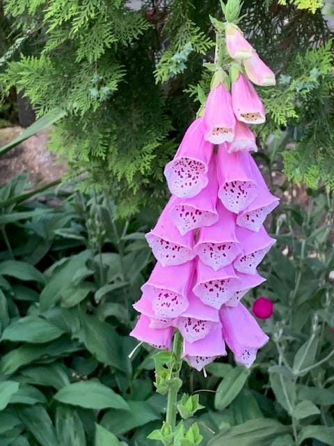 Foto 75 van Oudendijk 76