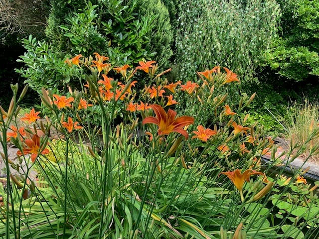 Foto 82 van Oudendijk 76