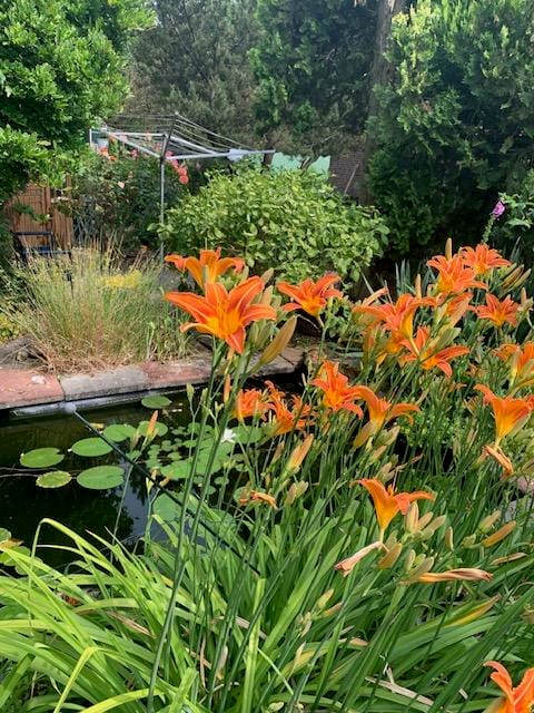 Foto 83 van Oudendijk 76