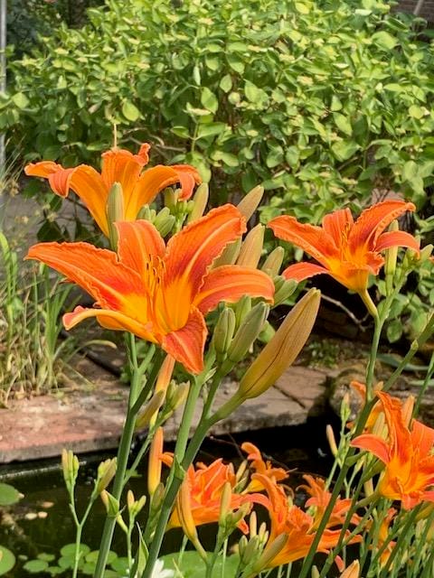 Foto 84 van Oudendijk 76