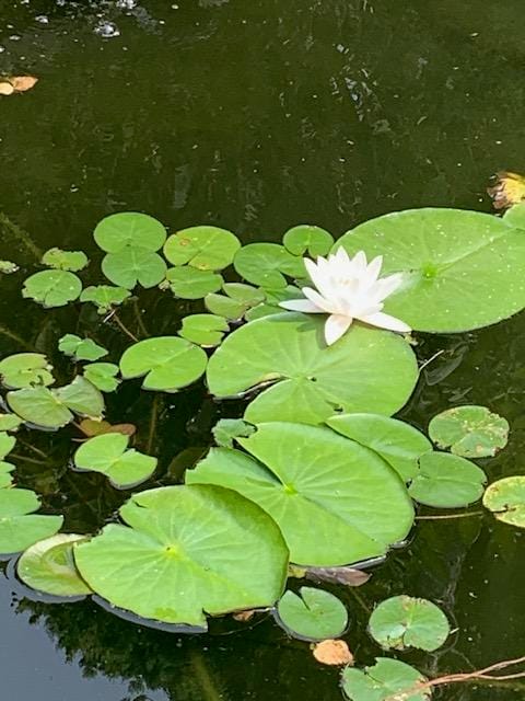 Foto 85 van Oudendijk 76