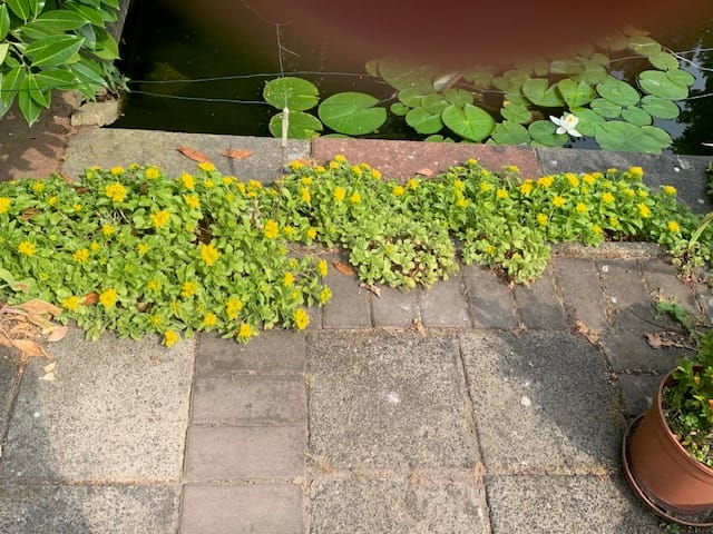 Foto 86 van Oudendijk 76