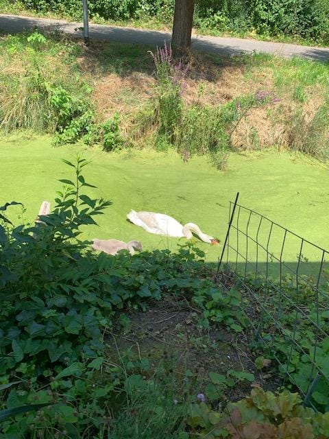 Foto 87 van Oudendijk 76