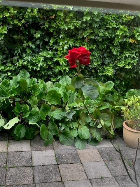 Foto 90 van Oudendijk 76