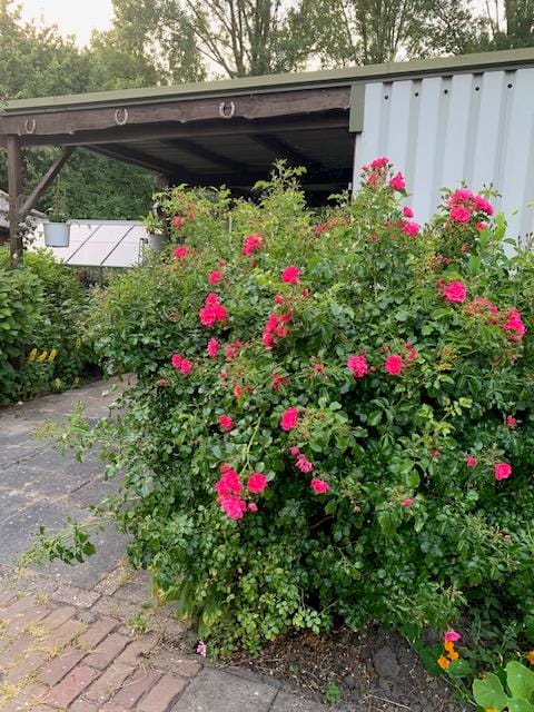 Foto 78 van Oudendijk 76