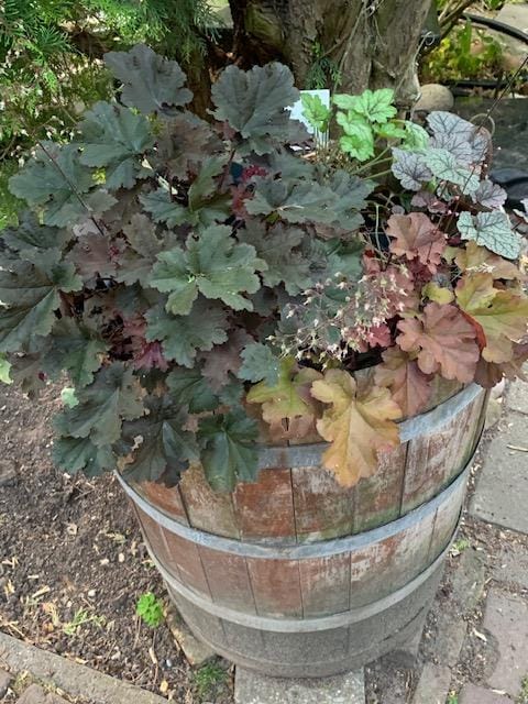 Foto 76 van Oudendijk 76