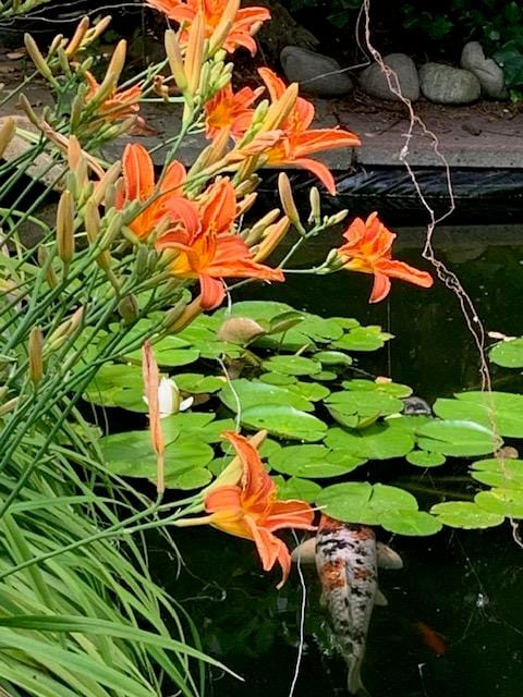 Foto 81 van Oudendijk 76