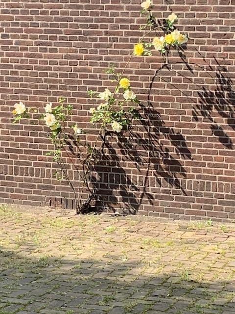 Foto 94 van Oudendijk 76