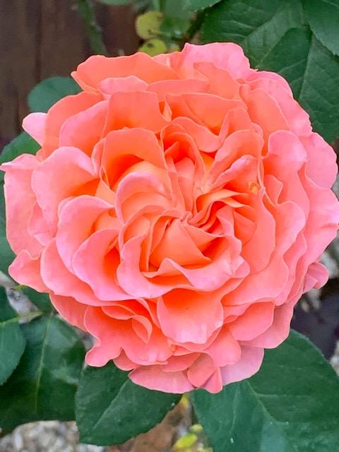 Foto 77 van Oudendijk 76