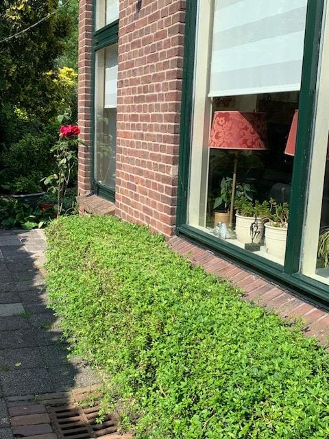 Foto 95 van Oudendijk 76