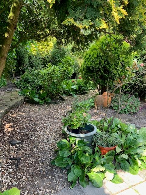 Foto 97 van Oudendijk 76