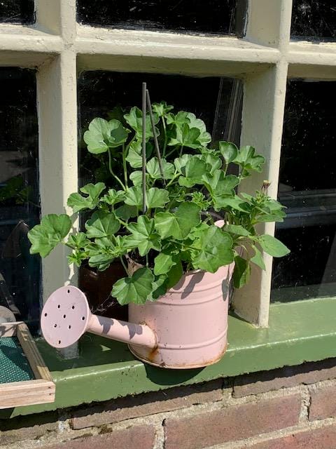 Foto 99 van Oudendijk 76