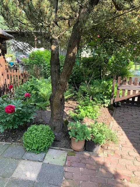 Foto 101 van Oudendijk 76