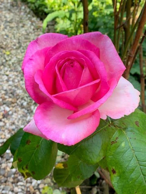 Foto 104 van Oudendijk 76