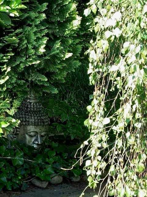 Foto 105 van Oudendijk 76