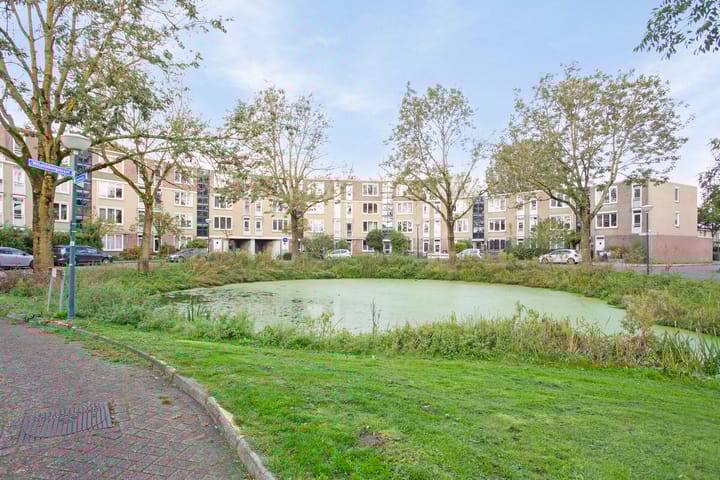 Foto 10 van Vrijhoef 104