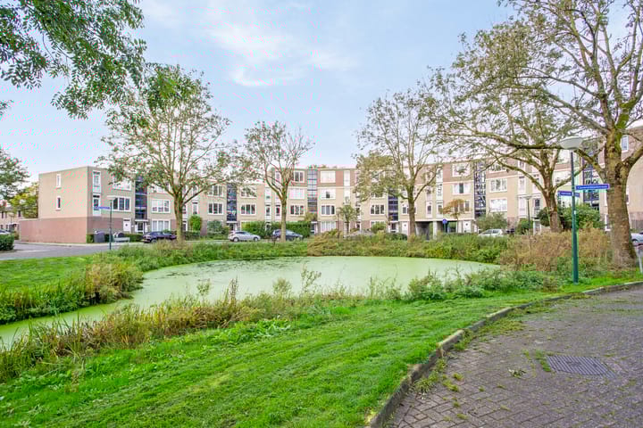 Foto 9 van Vrijhoef 104