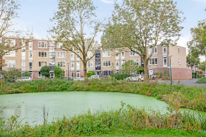 Foto 11 van Vrijhoef 104