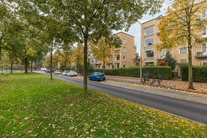 Foto 31 van Joseph Haydnlaan 22