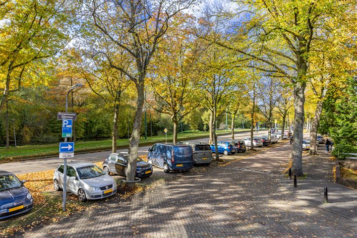 Bekijk foto 42 van Burgemeester Elsenlaan 143