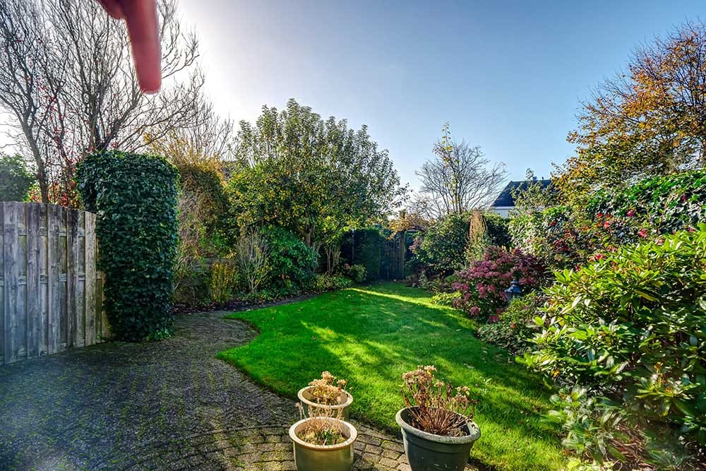 Foto 42 van Wierbalg 2307