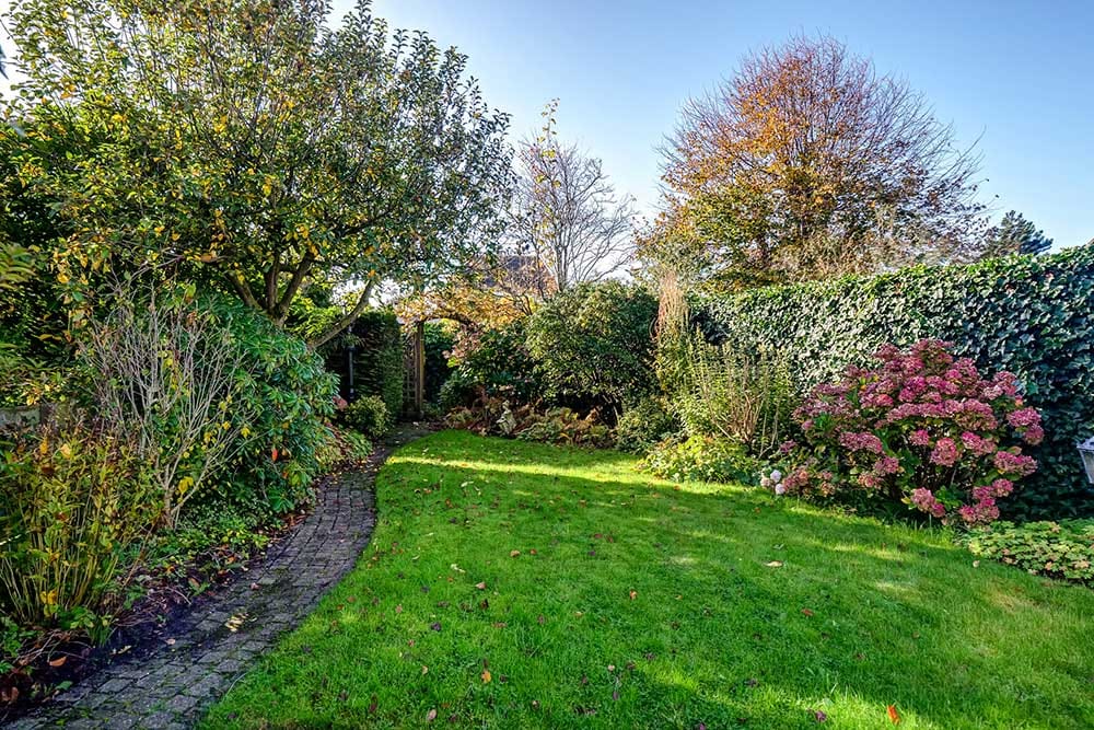 Foto 43 van Wierbalg 2307