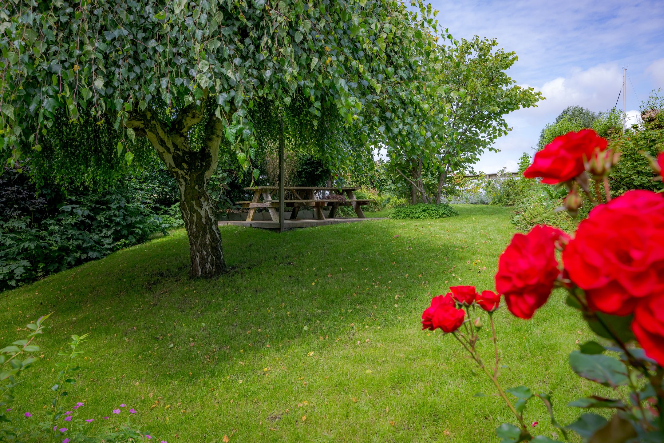 Foto 33 van Venelaan 8