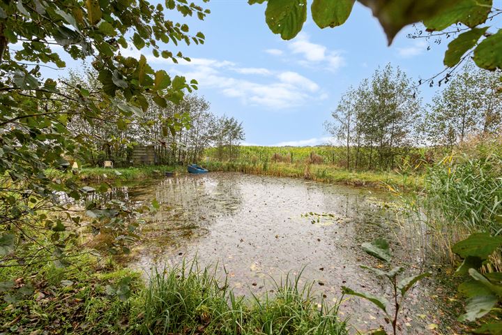 Bekijk foto 53 van Korte Landekensweg 2