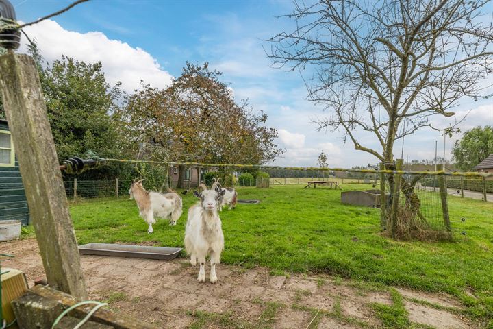 Bekijk foto 56 van Kattenwinkelweg 8