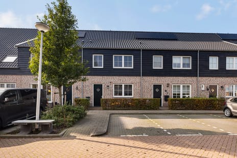 undefined main image