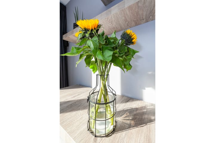 Foto 12 van Hof van Brederode 4