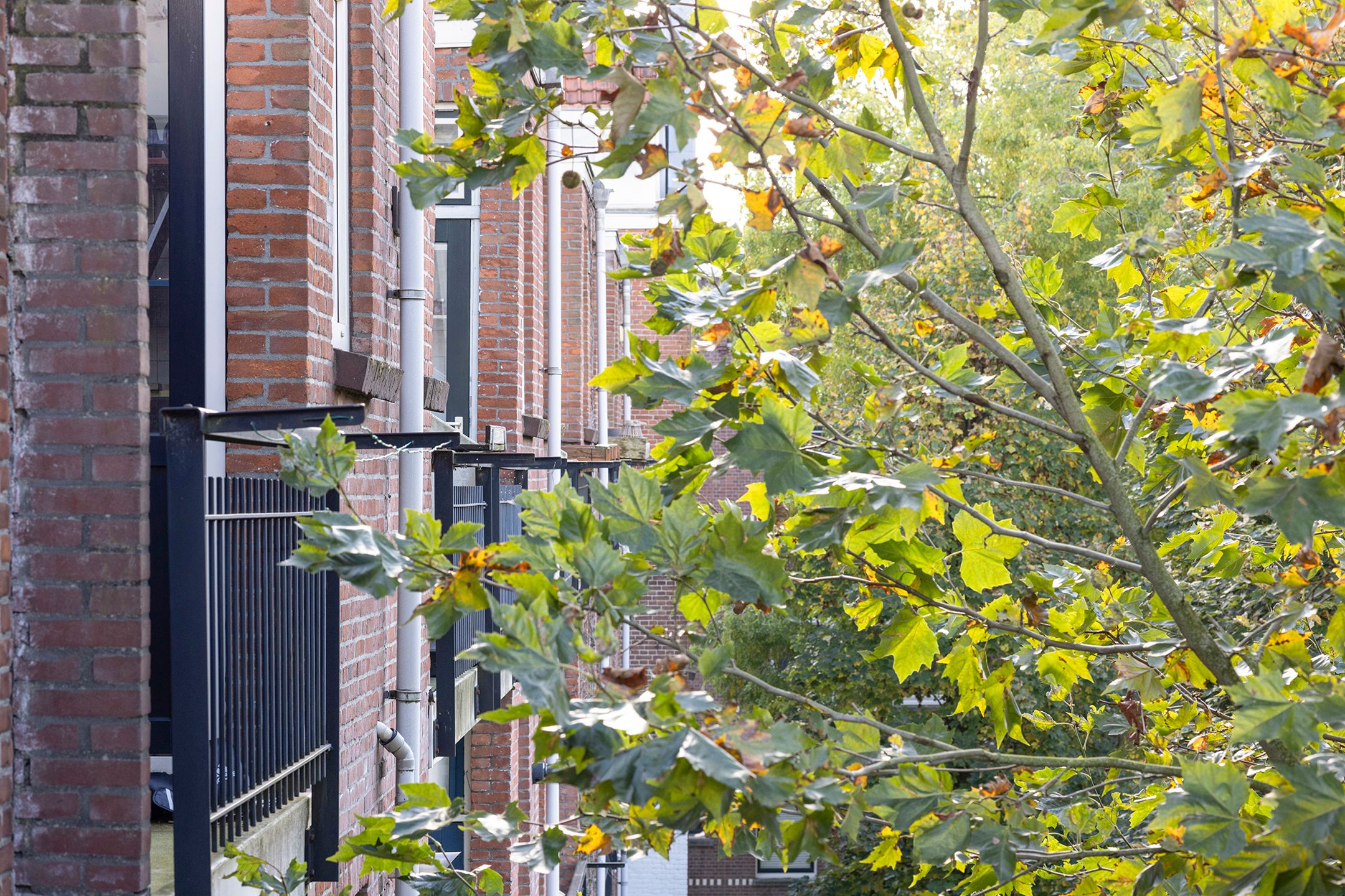 Foto 18 van Slotstraat 30-D