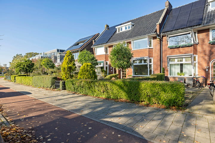 Foto 4 van Spanjaardslaan 24