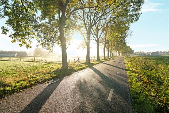 Bekijk foto 2 van Veldweg 24